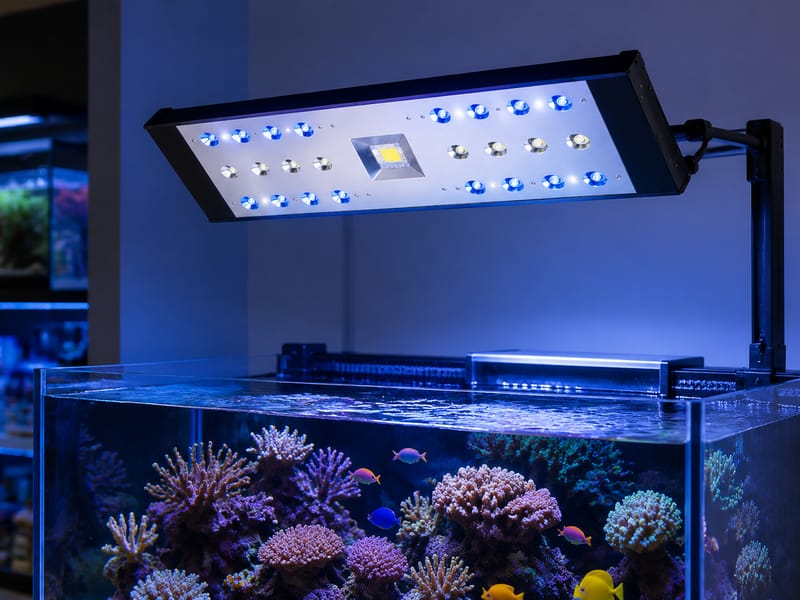 Proveedor de iluminación LED para acuarios: guía B2B — supporting aquarium detail