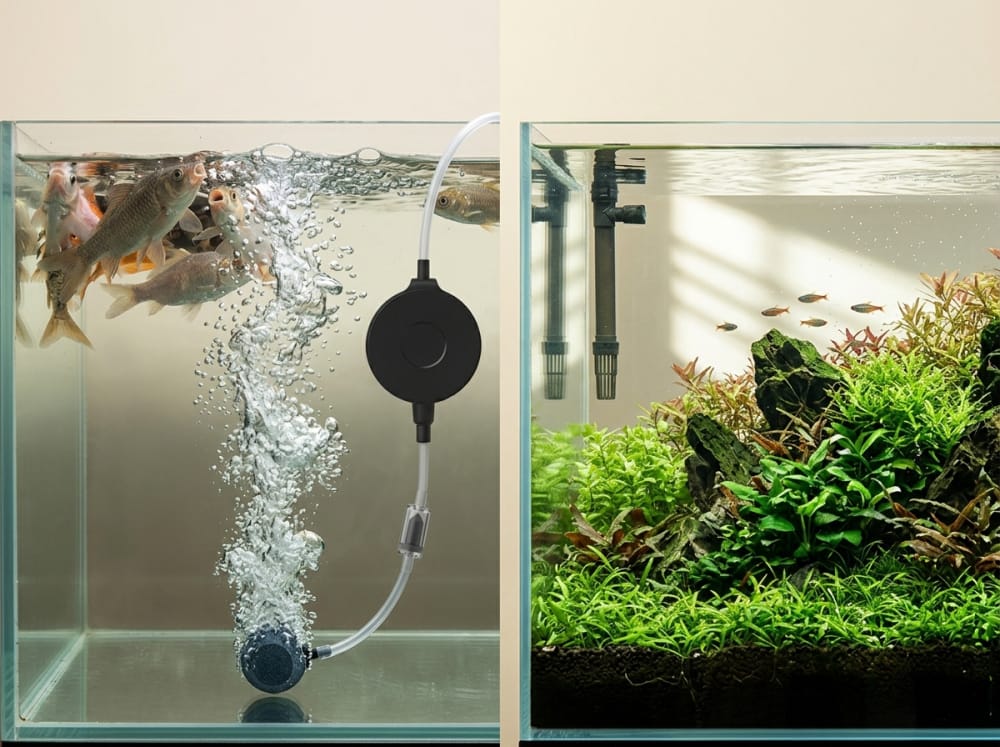 Cuándo usar bomba de aire en acuarios en España — supporting aquarium detail