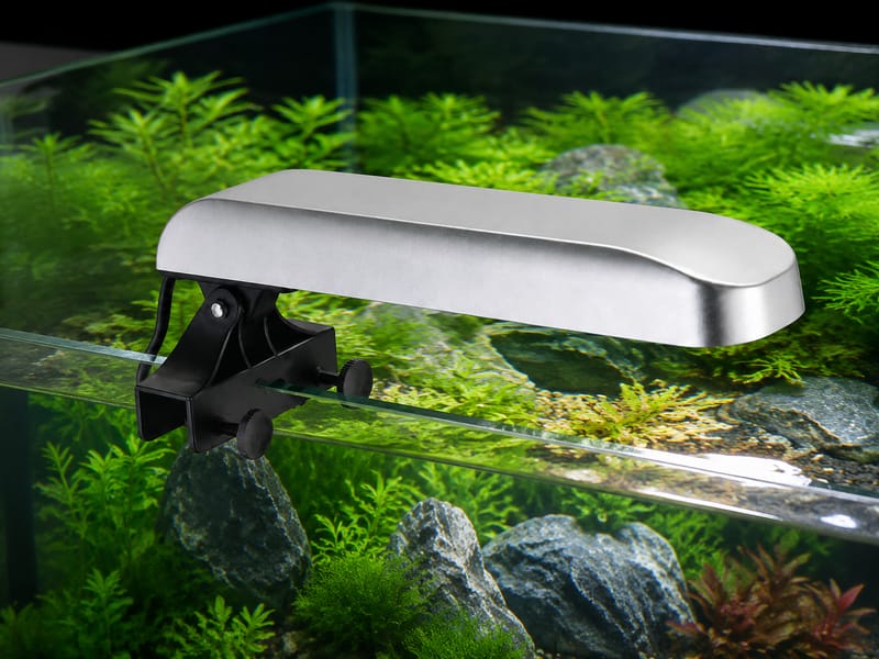 Proveedor private-label de accesorios de acuario: guía — practical setup example