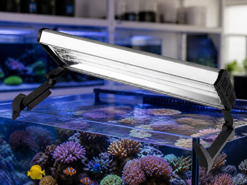 T5 HO aquarium lights wholesale: guía para compradores: aquarium guide image 1