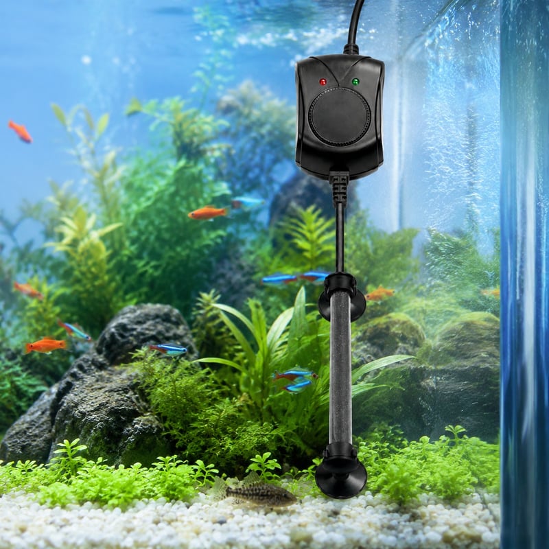 Imagen de detalle 2 del calentador de acuario digital WK003, modelo WK003, para mayoristas y compradores OEM de equipamiento para acuarios