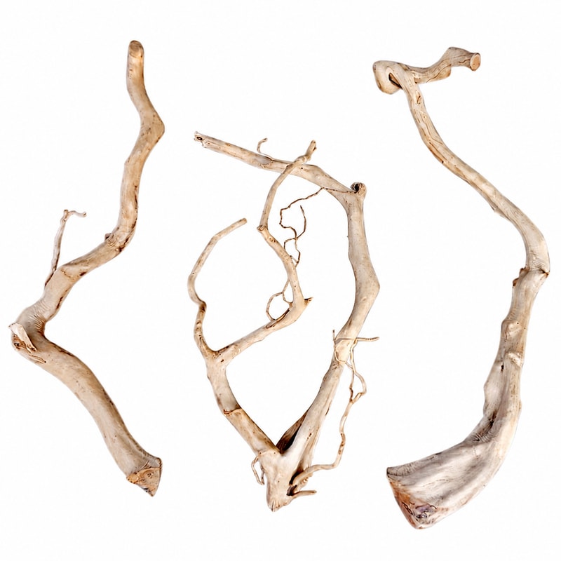 Azalea Root Driftwood WK018 Imagen de detalle 11 del modelo WK018 para compradores mayoristas y OEM de decoración para acuarios y aquascaping