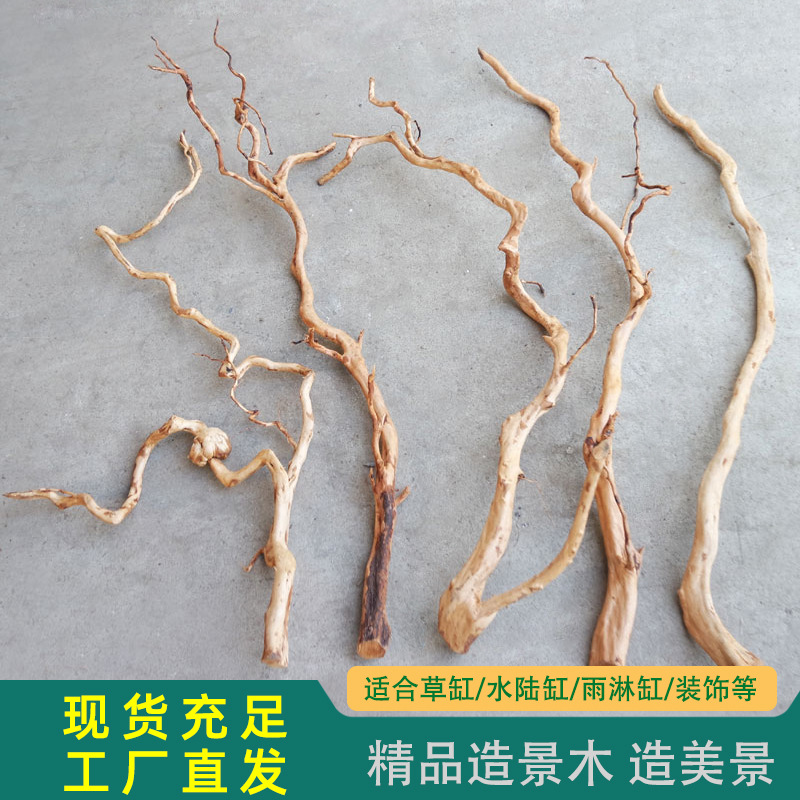 Azalea Root Driftwood WK018 Imagen de detalle 12 del modelo WK018 para compradores mayoristas y OEM de decoración para acuarios y aquascaping