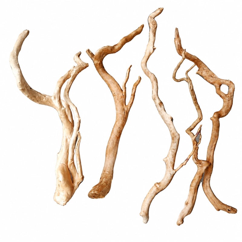 Azalea Root Driftwood WK018 Imagen de ventajas del modelo WK018 para distribuidores y equipos de aprovisionamiento de decoración para acuarios y aquascaping