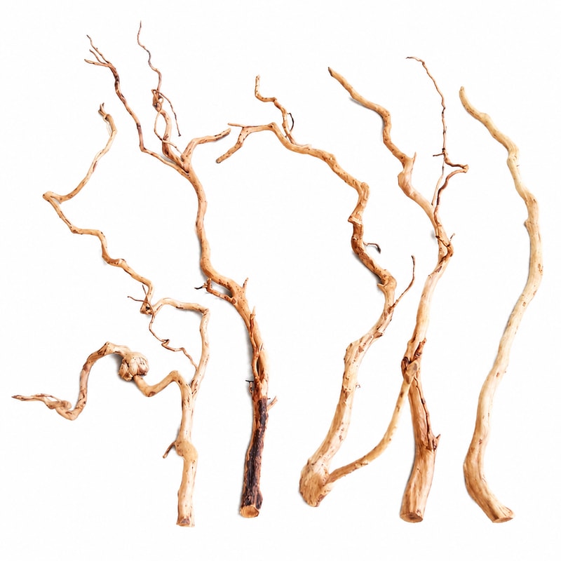 Azalea Root Driftwood WK018 Imagen de detalle 6 del modelo WK018 para compradores mayoristas y OEM de decoración para acuarios y aquascaping