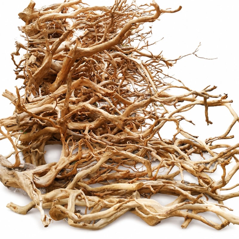 Azalea Root Driftwood WK018 Imagen de detalle 8 del modelo WK018 para compradores mayoristas y OEM de decoración para acuarios y aquascaping