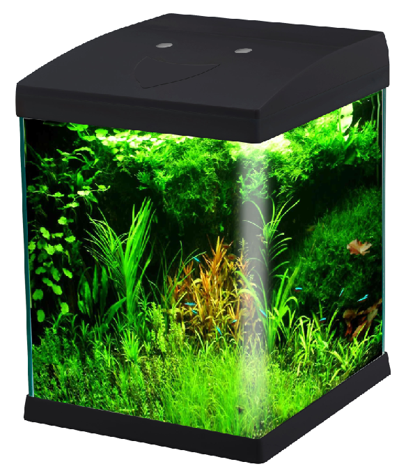 Imagen de rendimiento del acuario de vidrio mini sin marco WK072 con luz LED, modelo WK072, para distribuidores de acuarios y equipos de aprovisionamiento