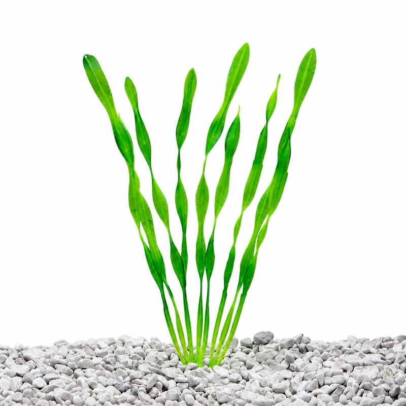 Imagen de funciones de las plantas artificiales para acuarios y peceras WK105, modelo WK105, para distribuidores y equipos de aprovisionamiento de decoración de Aquascaping