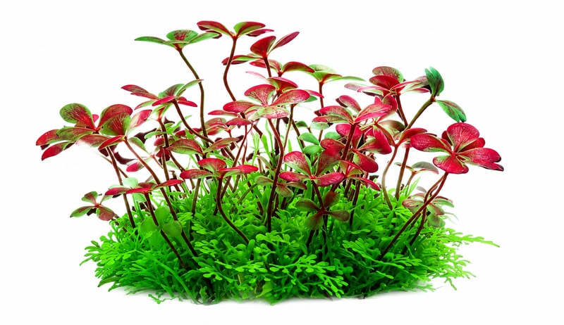 Imagen de detalle 6 de las plantas artificiales para acuarios y peceras WK105, modelo WK105, para compradores mayoristas y OEM de decoración de Aquascaping
