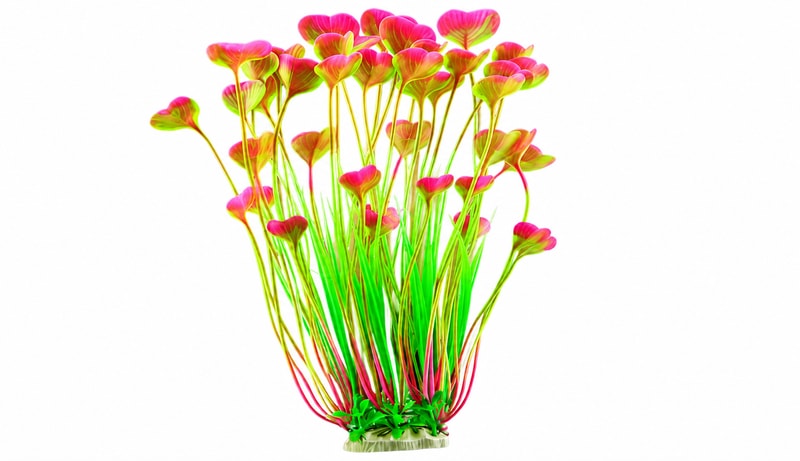 Plantas acuáticas artificiales para el suministro mayorista, OEM y de distribución de equipos para acuarios