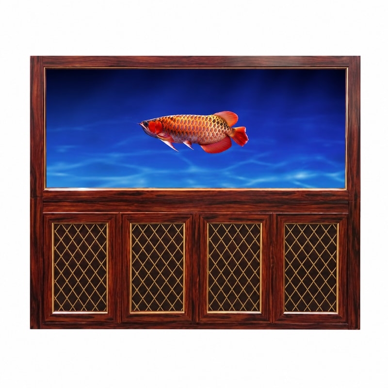 WK106 Acuario para arowana con acabado de veta de madera para la venta al por mayor de acuarios y el suministro OEM y a distribuidores