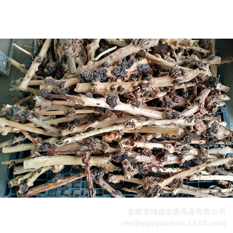 Imagen de detalle 11 de WK110 Natural Root Wood Decor, modelo WK110, para decoración de acuarios y compradores al por mayor y OEM de Aquascaping